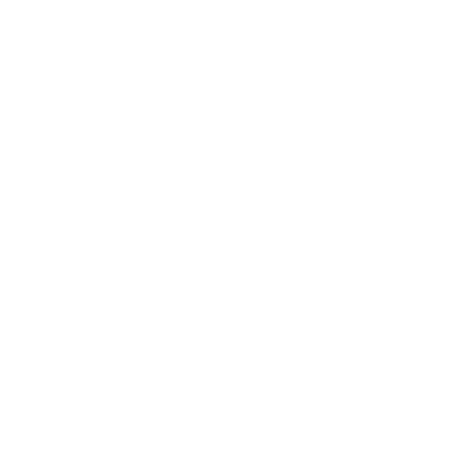 fabio-hagg-type